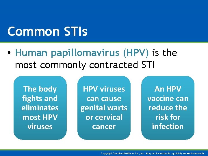 Common STIs • Human papillomavirus (HPV) is the most commonly contracted STI The body