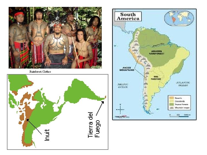 Rainforest Clothes Rainforest Clothes