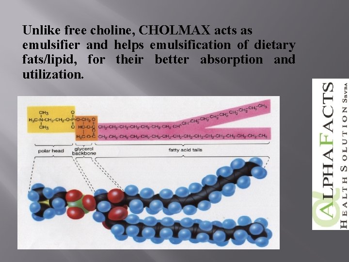 Unlike free choline, CHOLMAX acts as emulsifier and helps emulsification of dietary fats/lipid, for