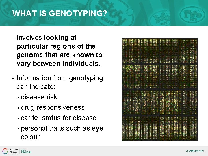 WHAT IS GENOTYPING? - Involves looking at particular regions of the genome that are