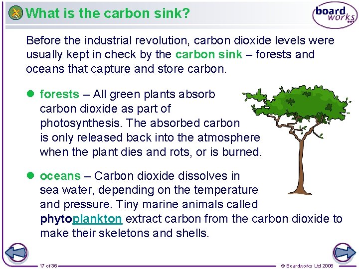 What is the carbon sink? Before the industrial revolution, carbon dioxide levels were usually