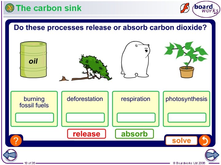 The carbon sink 18 of 36 © Boardworks Ltd 2006 