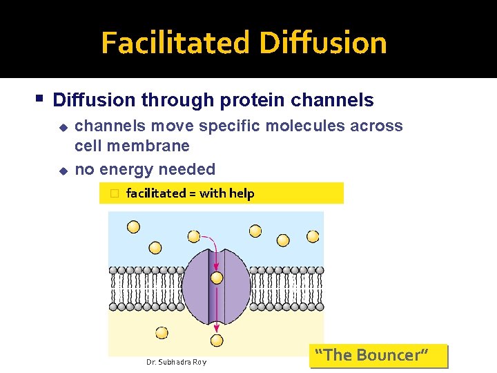 Facilitated Diffusion through protein channels u u channels move specific molecules across cell membrane