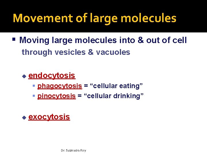 Movement of large molecules Moving large molecules into & out of cell through vesicles