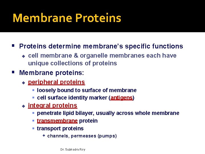 Membrane Proteins determine membrane’s specific functions u cell membrane & organelle membranes each have