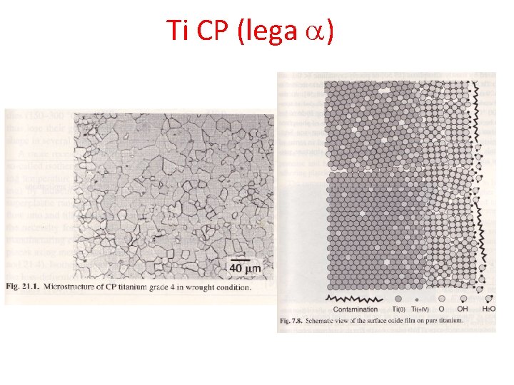 Ti CP (lega a) 