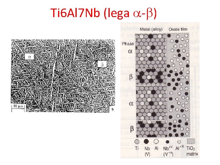 Ti 6 Al 7 Nb (lega a-b) 