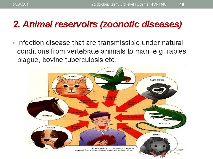 5/26/2021 microbiology team/ 3 rd level students 1439 -1440 49 2. Animal reservoirs (zoonotic