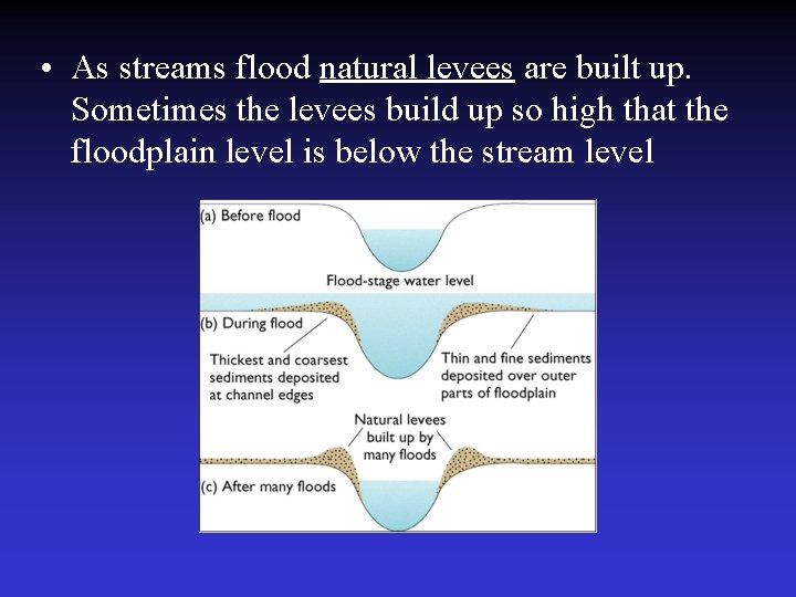  • As streams flood natural levees are built up. Sometimes the levees build