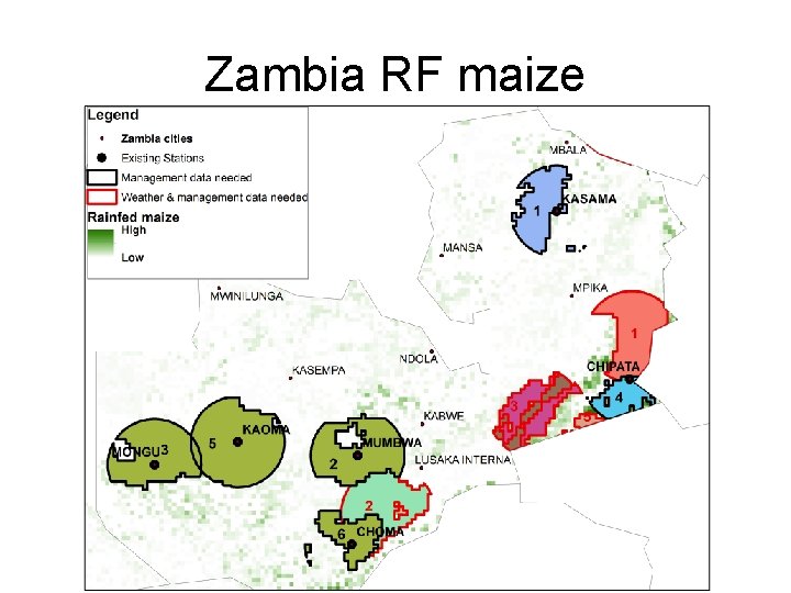 Zambia RF maize 