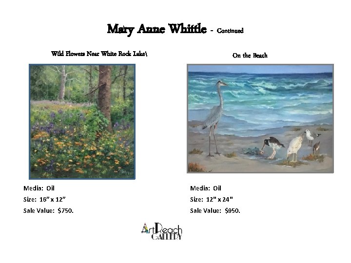 Mary Anne Whittle - Continued Wild Flowers Near White Rock Lake On the Beach