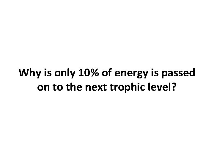 Why is only 10% of energy is passed on to the next trophic level?
