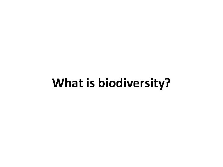 What is biodiversity? 