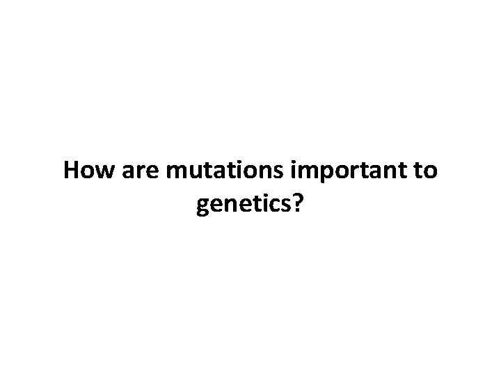 How are mutations important to genetics? 