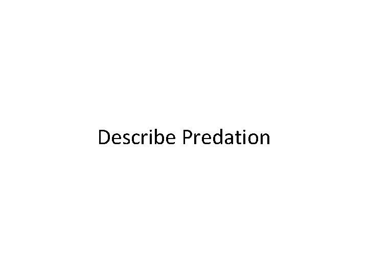 Describe Predation 