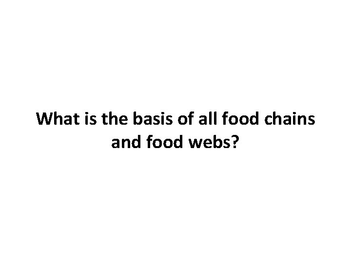 What is the basis of all food chains and food webs? 