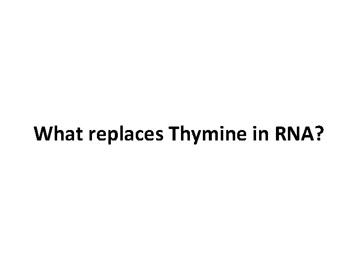 What replaces Thymine in RNA? 