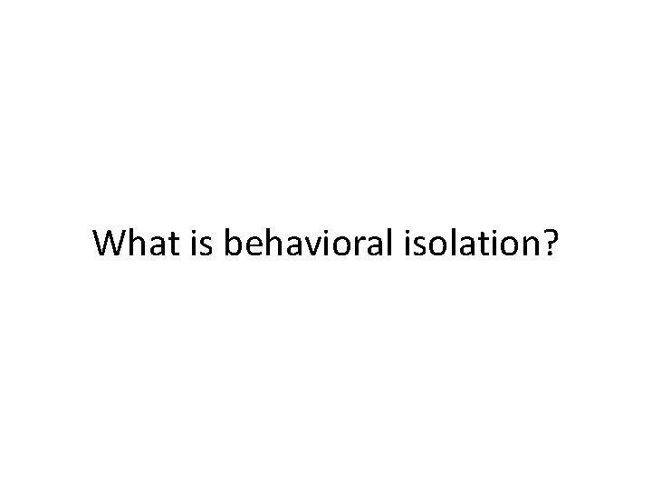 What is behavioral isolation? 