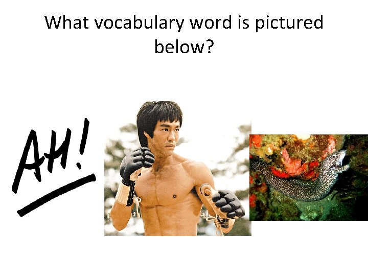 What vocabulary word is pictured below? 