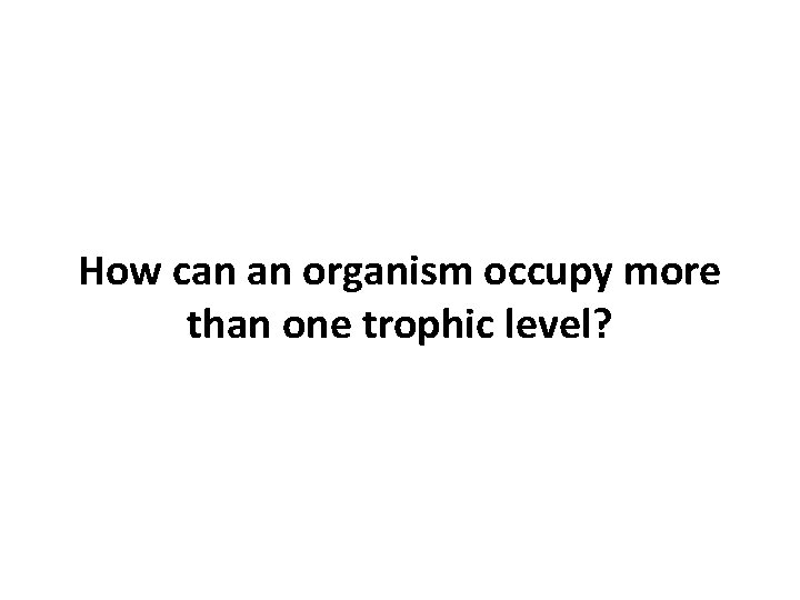 How can an organism occupy more than one trophic level? 