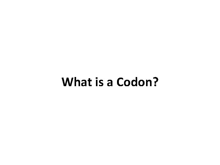 What is a Codon? 