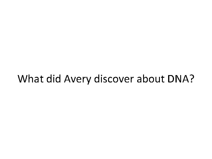 What did Avery discover about DNA? 
