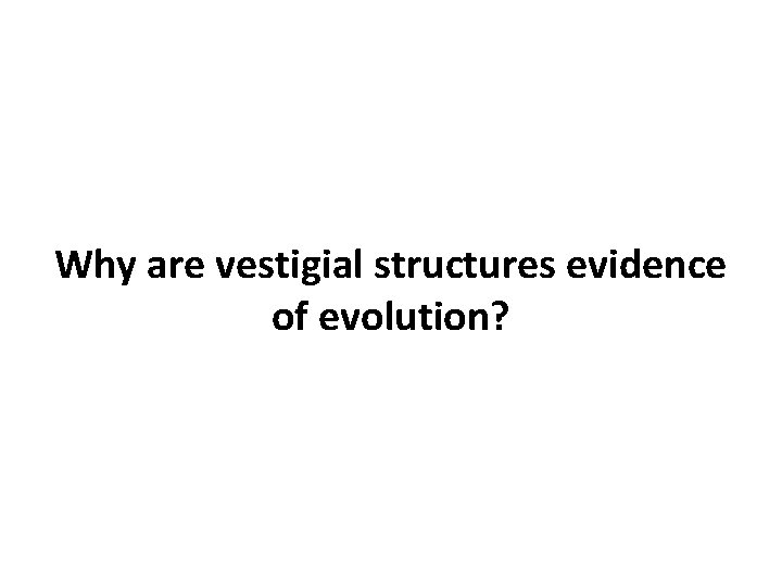 Why are vestigial structures evidence of evolution? 