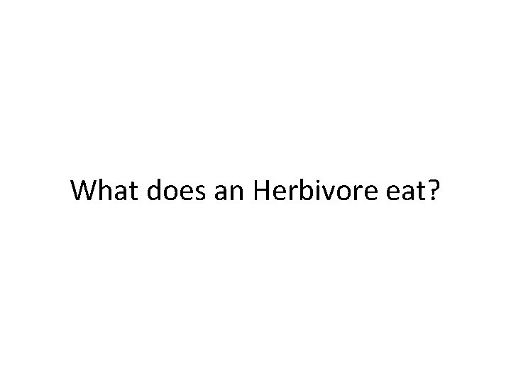 What does an Herbivore eat? 