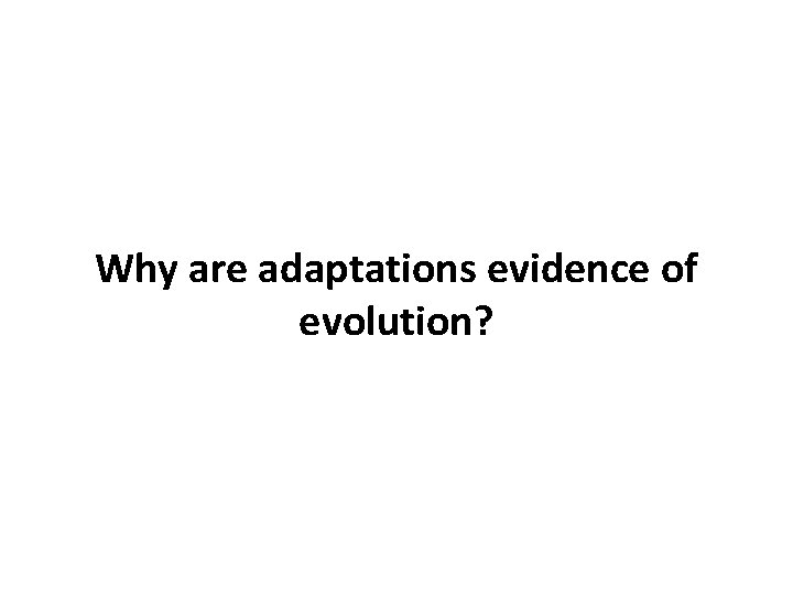 Why are adaptations evidence of evolution? 