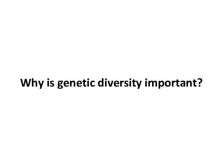 Why is genetic diversity important? 