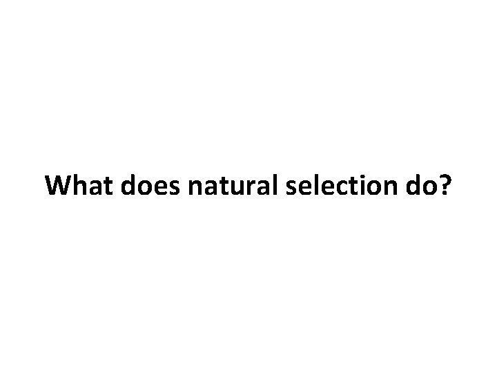 What does natural selection do? 
