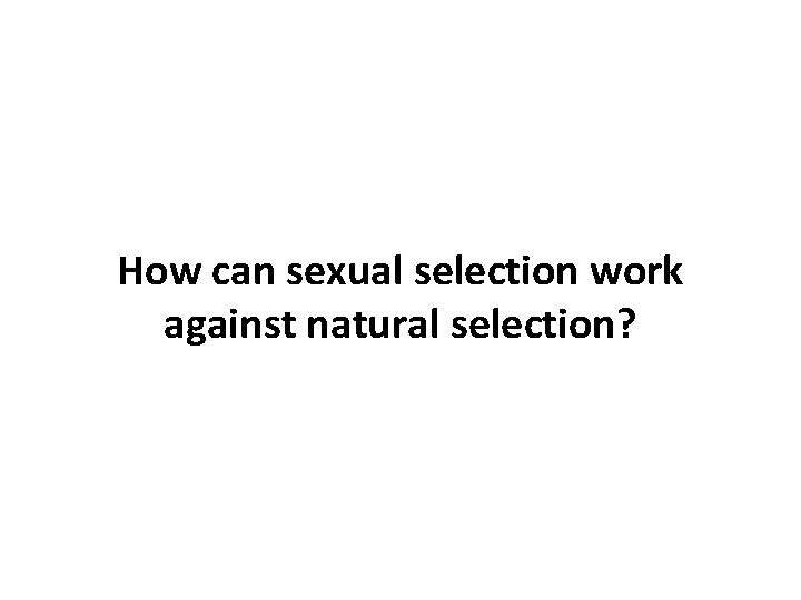 How can sexual selection work against natural selection? 