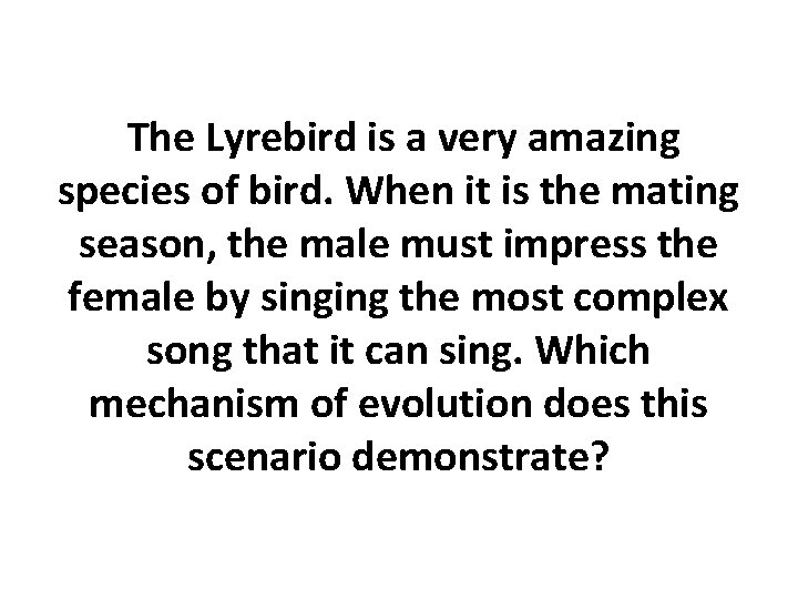 The Lyrebird is a very amazing species of bird. When it is the mating