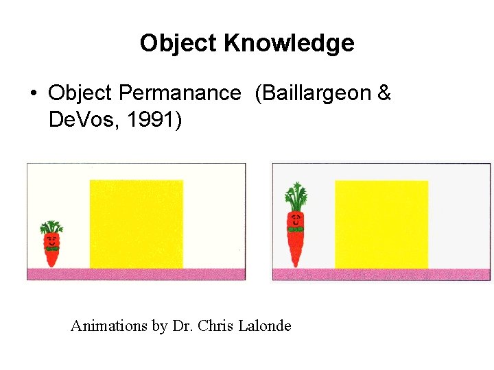 Object Knowledge • Object Permanance (Baillargeon & De. Vos, 1991) Animations by Dr. Chris