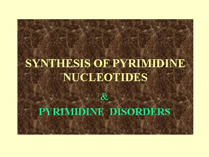 SYNTHESIS OF PYRIMIDINE NUCLEOTIDES & PYRIMIDINE DISORDERS SYNTHESIS OF PYRIMIDINE NUCLEOTIDES & PYRIMIDINE DISORDERS