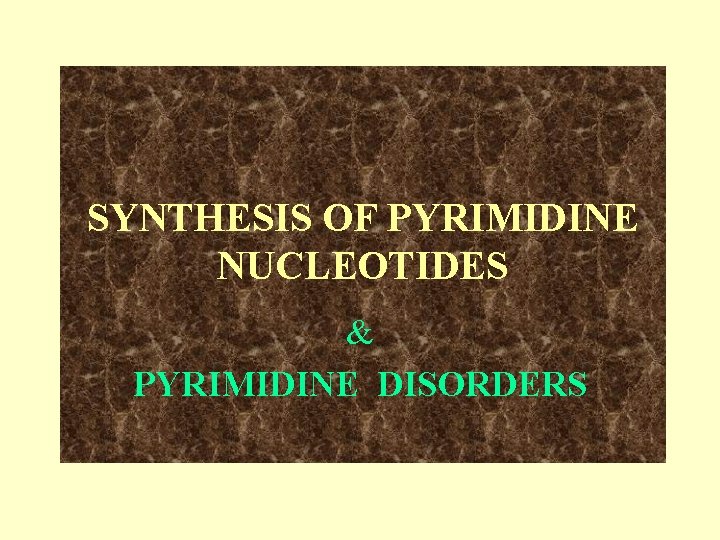 SYNTHESIS OF PYRIMIDINE NUCLEOTIDES & PYRIMIDINE DISORDERS 