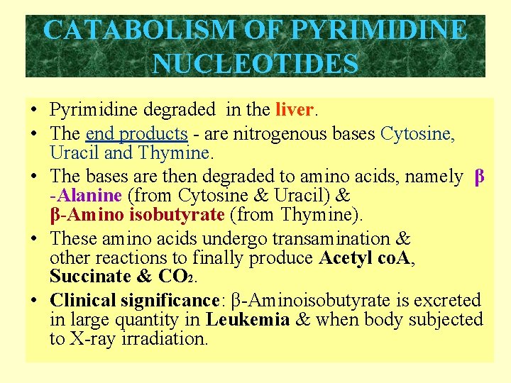 CATABOLISM OF PYRIMIDINE NUCLEOTIDES • Pyrimidine degraded in the liver. • The end products CATABOLISM OF PYRIMIDINE NUCLEOTIDES • Pyrimidine degraded in the liver. • The end products