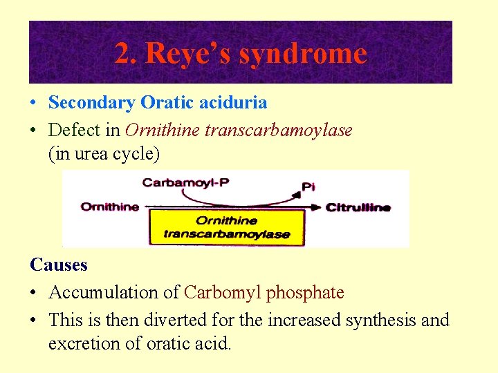 2. Reye’s syndrome • Secondary Oratic aciduria • Defect in Ornithine transcarbamoylase (in urea