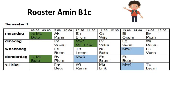 Rooster Amin B 1 c 