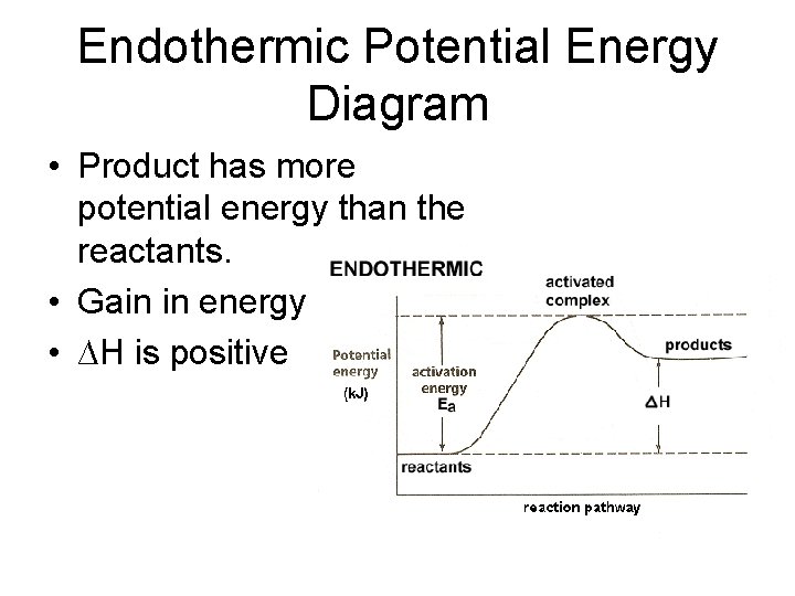 Endothermic Potential Energy Diagram • Product has more potential energy than the reactants. •
