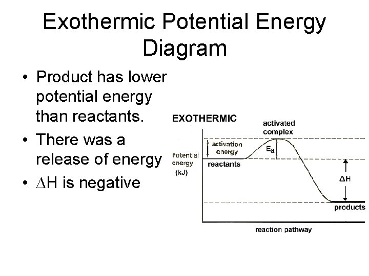 Exothermic Potential Energy Diagram • Product has lower potential energy than reactants. • There