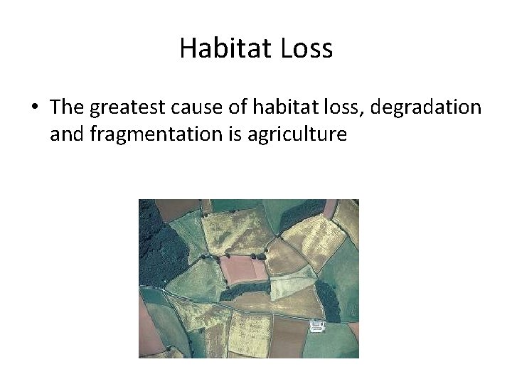 Habitat Loss • The greatest cause of habitat loss, degradation and fragmentation is agriculture