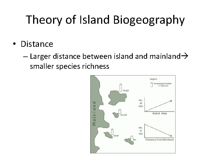 Theory of Island Biogeography • Distance – Larger distance between island mainland smaller species