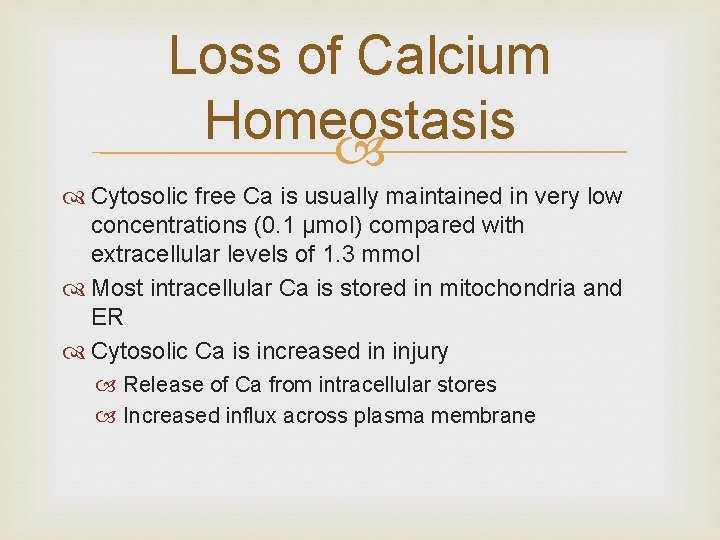 Loss of Calcium Homeostasis Cytosolic free Ca is usually maintained in very low concentrations