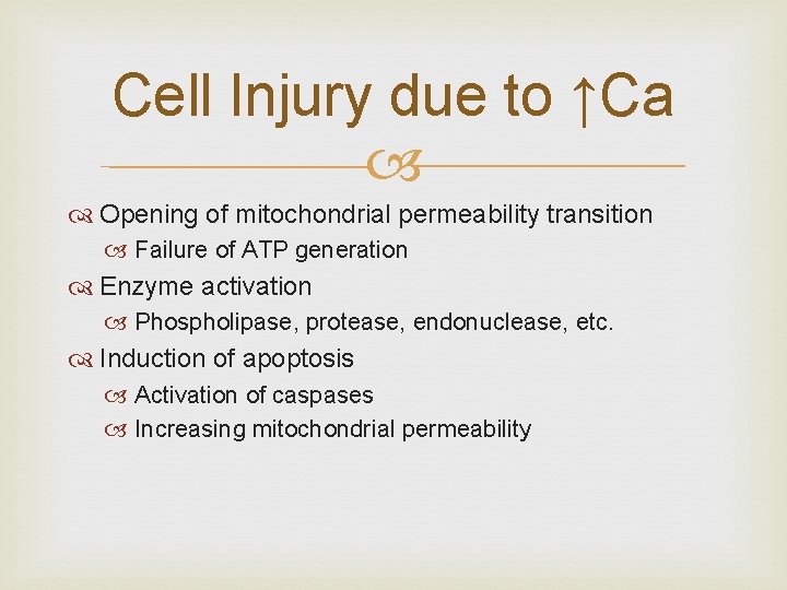 Cell Injury due to ↑Ca Opening of mitochondrial permeability transition Failure of ATP generation