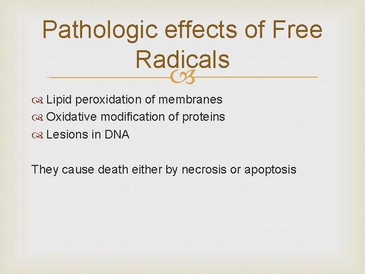 Pathologic effects of Free Radicals Lipid peroxidation of membranes Oxidative modification of proteins Lesions