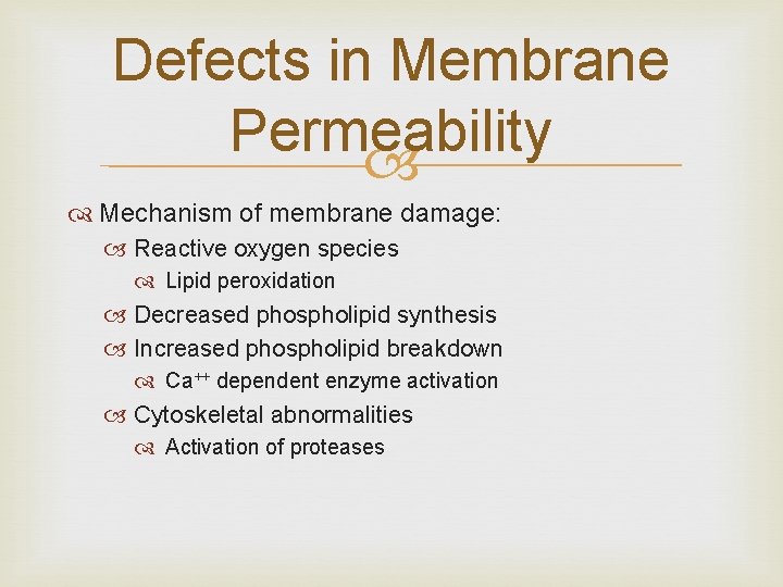 Defects in Membrane Permeability Mechanism of membrane damage: Reactive oxygen species Lipid peroxidation Decreased