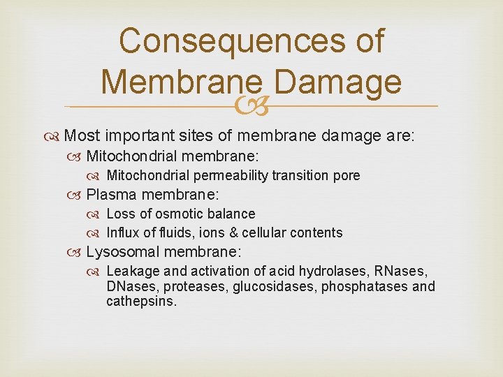 Consequences of Membrane Damage Most important sites of membrane damage are: Mitochondrial membrane: Mitochondrial