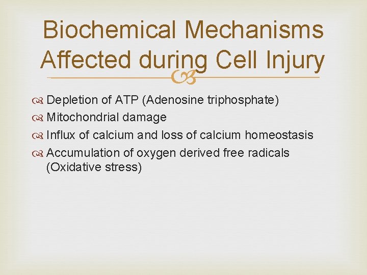 Biochemical Mechanisms Affected during Cell Injury Depletion of ATP (Adenosine triphosphate) Mitochondrial damage Influx