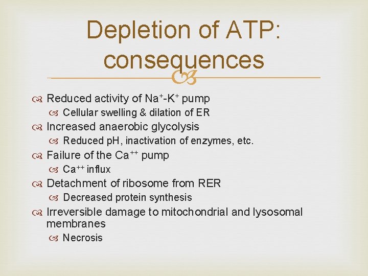 Depletion of ATP: consequences Reduced activity of Na+-K+ pump Cellular swelling & dilation of